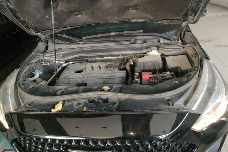 Used Haval M6 2019 1.5T Manual Two-Wheel Drive Elite Version China VI Standard Engine Bay