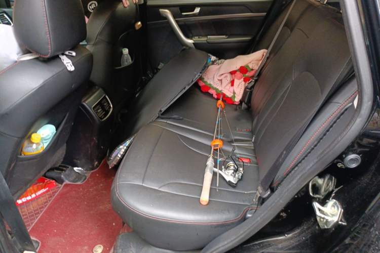 Used Haval M6 2019 1.5T DCT Two-Wheel Drive Elite Version China V Standard Left Rear Seat