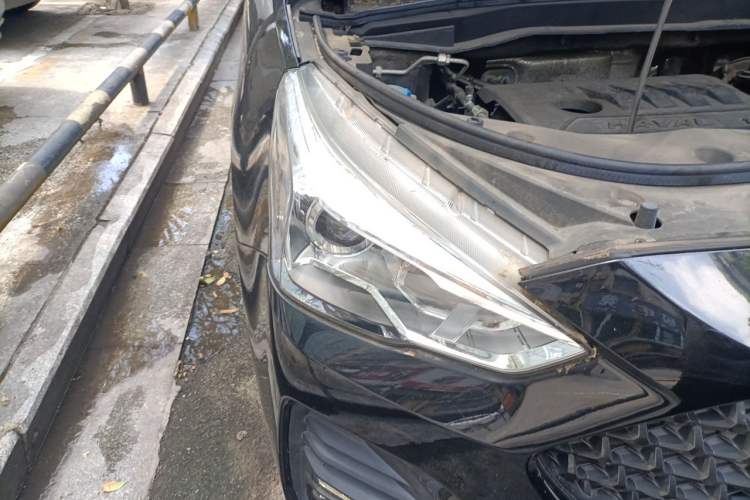 Used Haval M6 2019 1.5T Manual Two-Wheel Drive Elite Version China V Standard Right Front Headlight