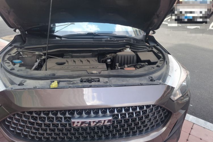 Used Haval M6 2019 1.5T DCT Two-Wheel Drive Elite Version China V Standard Engine Bay Left