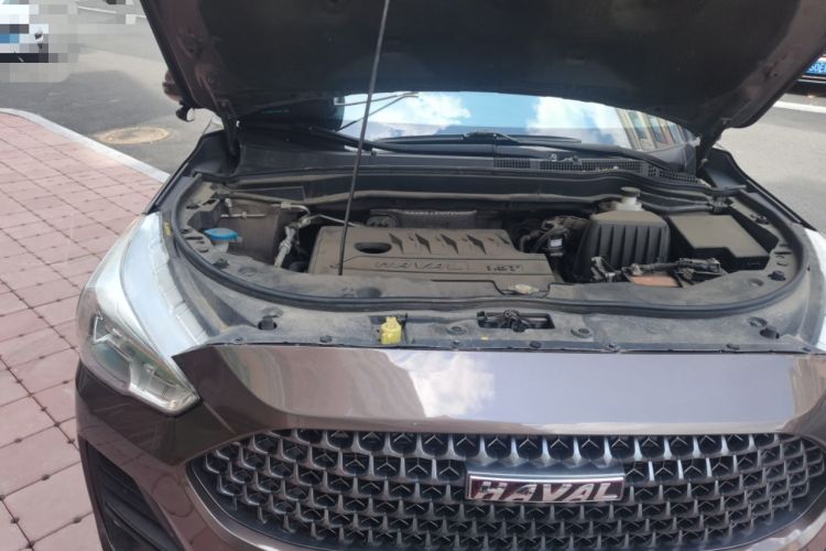 Used Haval M6 2019 1.5T DCT Two-Wheel Drive Elite Version China V Standard Engine Bay Right