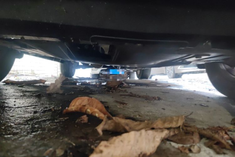 Used Haval M6 2019 1.5T DCT Two-Wheel Drive Elite Version China VI Standard Chassis Front