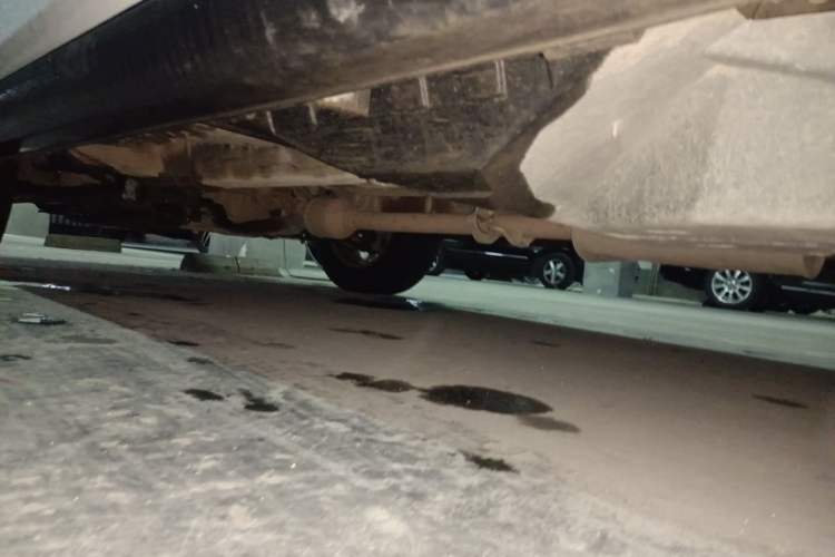 Used Haval M6 2019 1.5T DCT Two-Wheel Drive Elite Version China VI Standard Chassis Rear Left