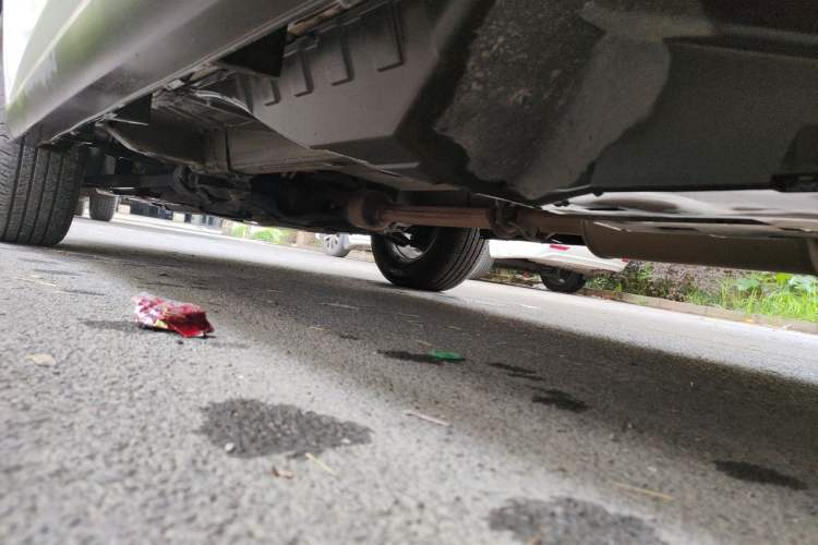 Used Haval M6 2019 1.5T DCT Two-Wheel Drive Elite Version China V Standard Chassis Rear Left