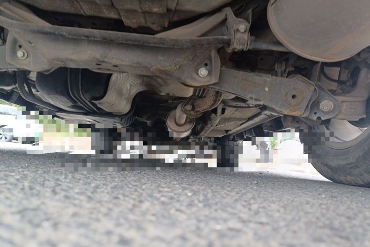 Used Haval M6 2019 1.5T Manual Two-Wheel Drive Elite Version China VI Standard Chassis Rear