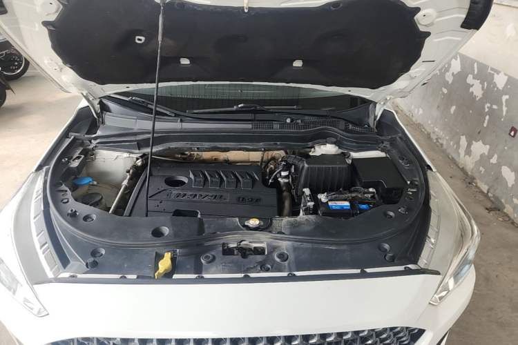 Used Haval M6 2019 1.5T DCT Two-Wheel Drive Elite Version China V Standard Engine Bay