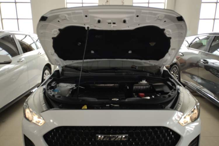 Used Haval M6 2019 1.5T DCT Two-Wheel Drive Elite Version China VI Standard Engine Bay