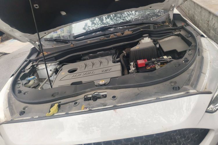 Used Haval M6 2019 1.5T DCT Two-Wheel Drive Elite Version China VI Standard Engine Bay