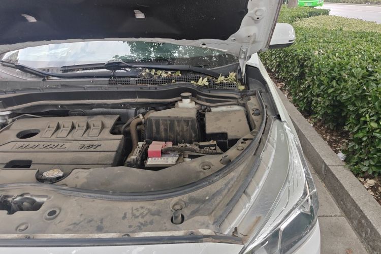Used Haval M6 2019 1.5T Manual Two-Wheel Drive Elite Version China VI Standard Engine Bay Left