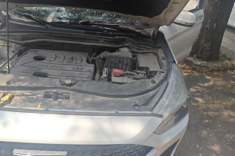 Used Haval M6 2019 1.5T DCT Two-Wheel Drive Value Edition China VI Standard Engine Bay Left
