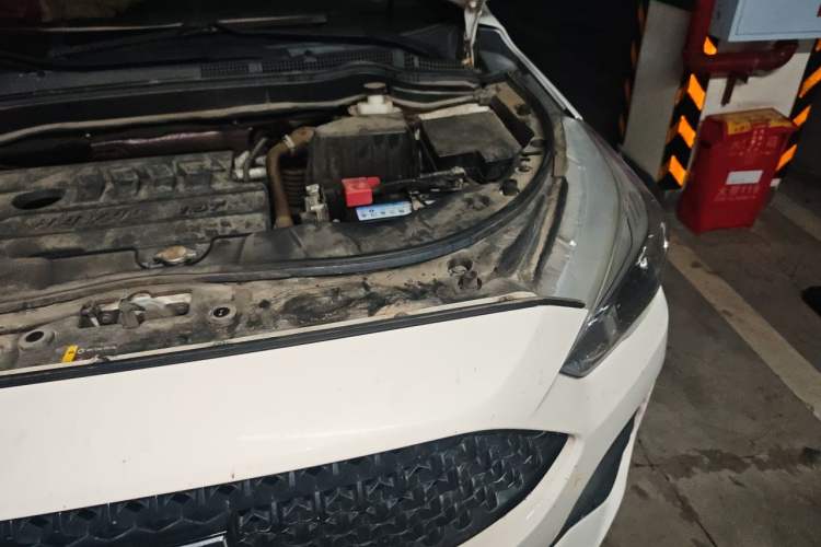 Used Haval M6 2019 1.5T Manual Two-Wheel Drive Elite Version China V Standard Engine Bay Left