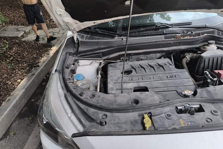 Used Haval M6 2019 1.5T DCT Two-Wheel Drive Value Edition China VI Standard Engine Bay Right
