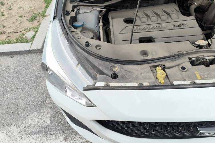Used Haval M6 2019 1.5T DCT Two-Wheel Drive Elite Version China VI Standard Engine Bay Right