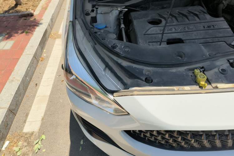 Used Haval M6 2019 1.5T DCT Two-Wheel Drive Value Edition China VI Standard Engine Bay Right