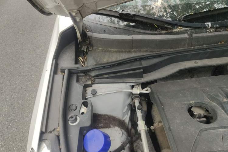 Used Haval M6 2019 1.5T Manual Two-Wheel Drive Elite Version China VI Standard Engine Bay Right