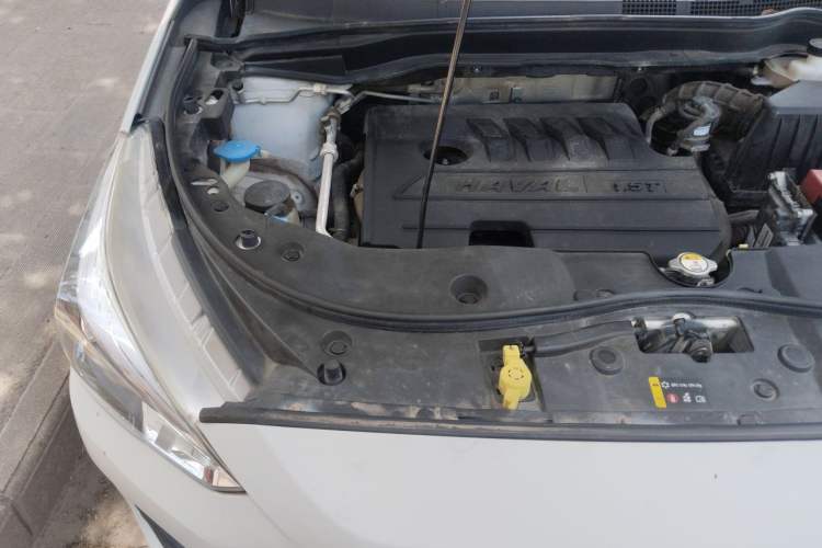 Used Haval M6 2019 1.5T DCT Two-Wheel Drive Elite Version China V Standard Engine Bay Right