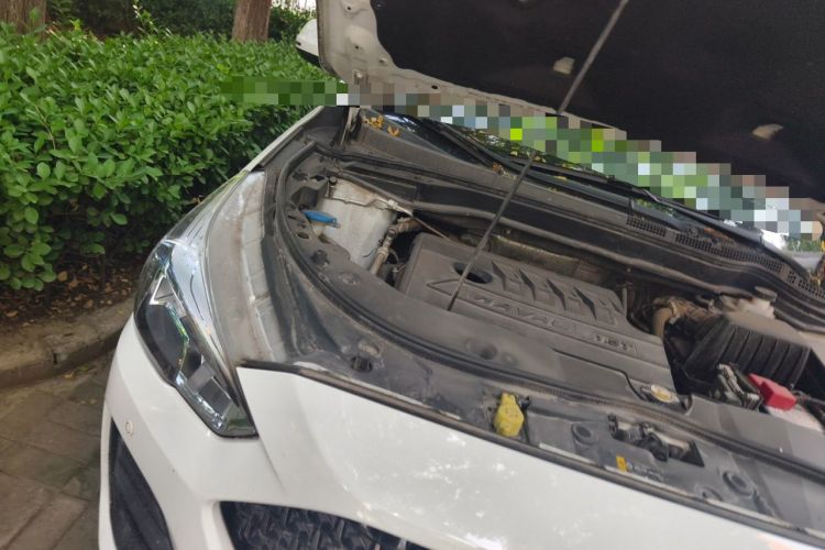 Used Haval M6 2019 1.5T DCT Two-Wheel Drive Value Edition China VI Standard Engine Bay Right