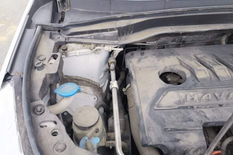 Used Haval M6 2019 1.5T Manual Two-Wheel Drive Elite Version China VI Standard Engine Bay Right