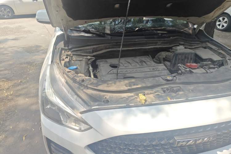 Used Haval M6 2019 1.5T DCT Two-Wheel Drive Value Edition China VI Standard Engine Bay Right