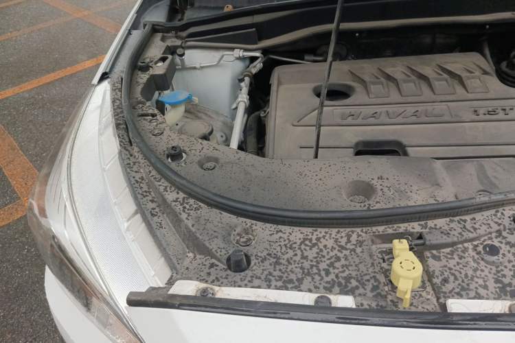 Used Haval M6 2019 1.5T DCT Two-Wheel Drive Elite Version China VI Standard Engine Bay Right