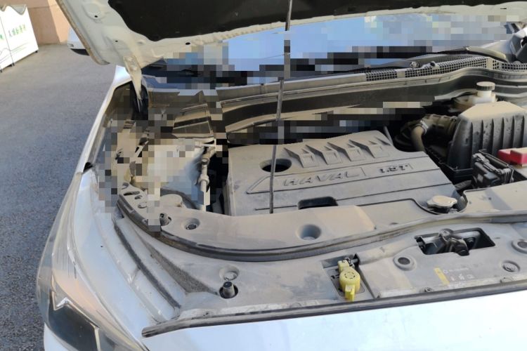 Used Haval M6 2019 1.5T DCT Two-Wheel Drive Elite Version China VI Standard Engine Bay Right