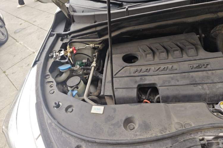 Used Haval M6 2019 1.5T DCT Two-Wheel Drive Elite Version China V Standard Engine Bay Right