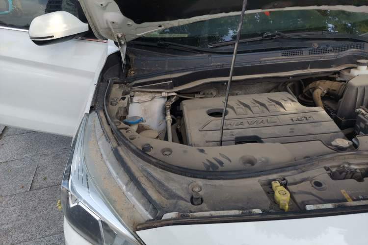 Used Haval M6 2019 1.5T Manual Two-Wheel Drive Urban Version China V Standard Engine Bay Right