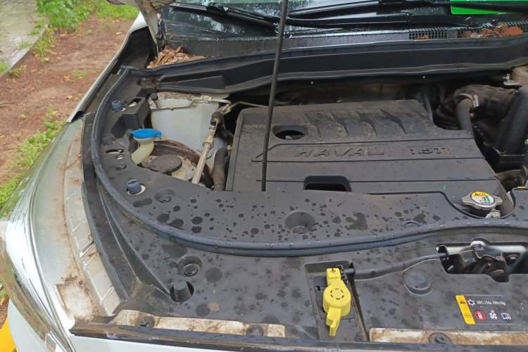 Used Haval M6 2019 1.5T Manual Two-Wheel Drive Elite Version China VI Standard Engine Bay Right