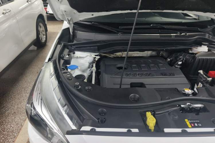 Used Haval M6 2019 1.5T DCT Two-Wheel Drive Urban Version China V Standard Engine Bay Right