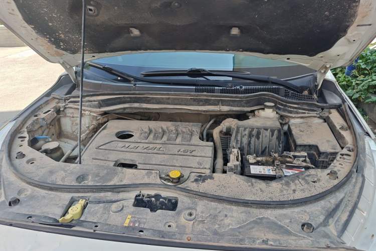 Used Haval M6 2019 1.5T DCT Two-Wheel Drive Elite Version China VI Standard Engine Bay
