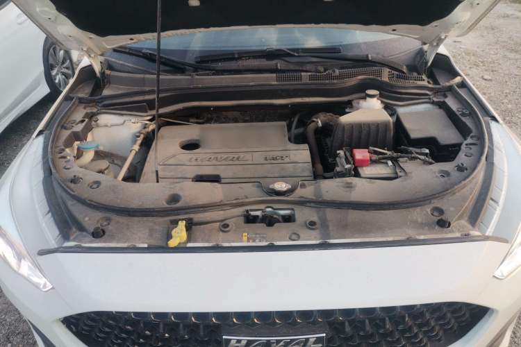 Used Haval M6 2019 1.5T DCT Two-Wheel Drive Elite Version China VI Standard Engine Bay