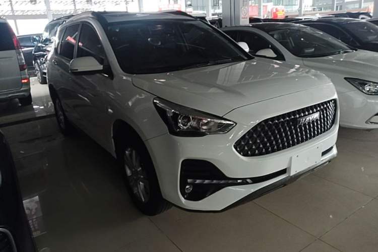 Used Haval M6 2019 1.5T DCT Two-Wheel Drive Elite Version China VI Standard Exterior 1