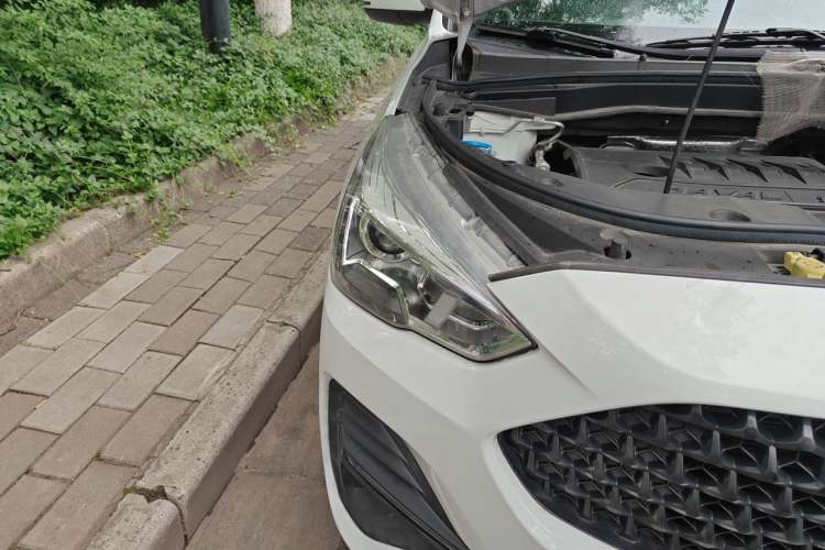 Used Haval M6 2019 1.5T Manual Two-Wheel Drive Urban Version China VI Standard Exterior 6