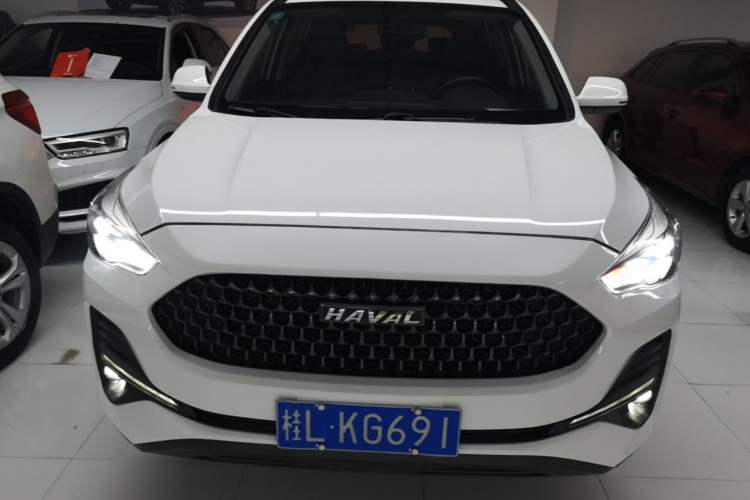 Used Haval M6 2019 1.5T DCT Two-Wheel Drive Elite Version China V Standard Front