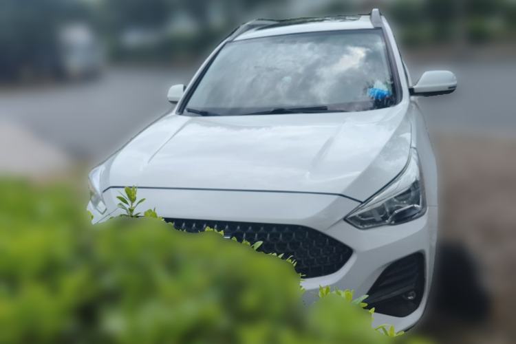 Used Haval M6 2019 1.5T Manual Two-Wheel Drive Elite Version China V Standard Front