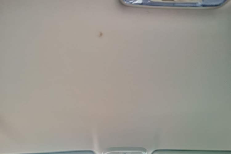 Used Haval M6 2019 1.5T Manual Two-Wheel Drive Urban Version China VI Standard Headliner