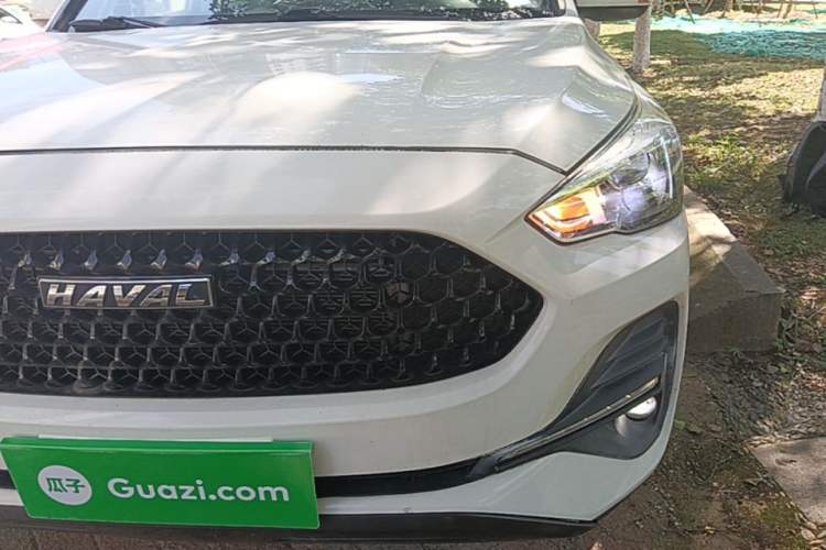 Used Haval M6 2019 1.5T Manual Two-Wheel Drive Elite Version China VI Standard Left Front Headlight