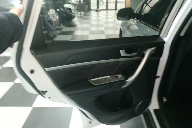 Used Haval M6 2019 1.5T DCT Two-Wheel Drive Value Edition China VI Standard Left Rear Door Interior