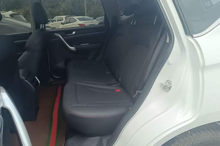 Used Haval M6 2019 1.5T DCT Two-Wheel Drive Value Edition China VI Standard Left Rear Seat