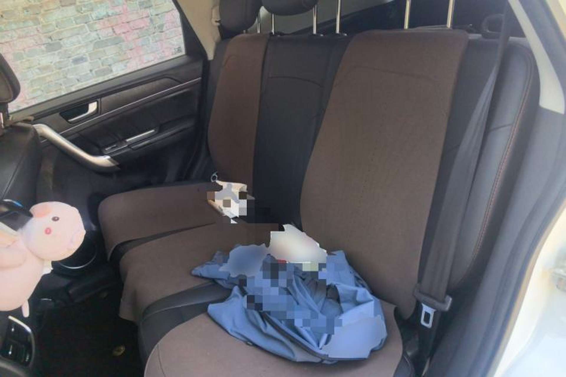 Used Haval M6 2019 1.5T DCT Two-Wheel Drive Value Edition China VI Standard Left Rear Seat