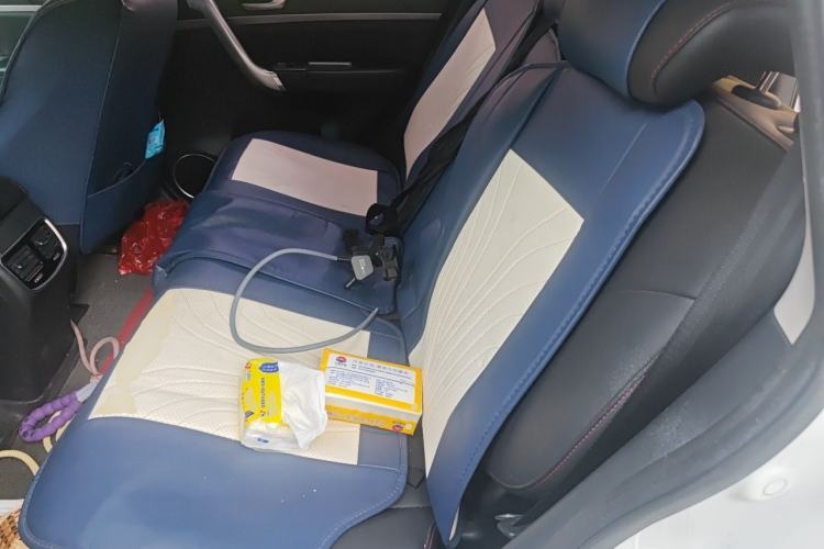 Used Haval M6 2019 1.5T Manual Two-Wheel Drive Elite Version China VI Standard Left Rear Seat