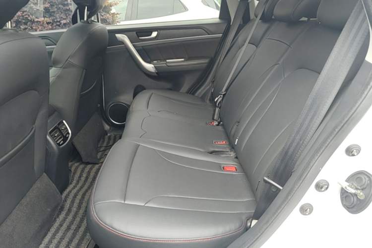 Used Haval M6 2019 1.5T DCT Two-Wheel Drive Value Edition China VI Standard Left Rear Seat