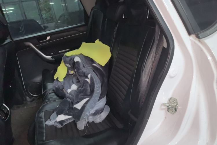 Used Haval M6 2019 1.5T DCT Two-Wheel Drive Elite Version China VI Standard Left Rear Seat