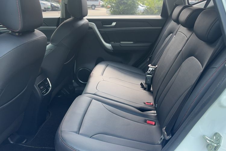 Used Haval M6 2019 1.5T DCT Two-Wheel Drive Value Edition China VI Standard Left Rear Seat