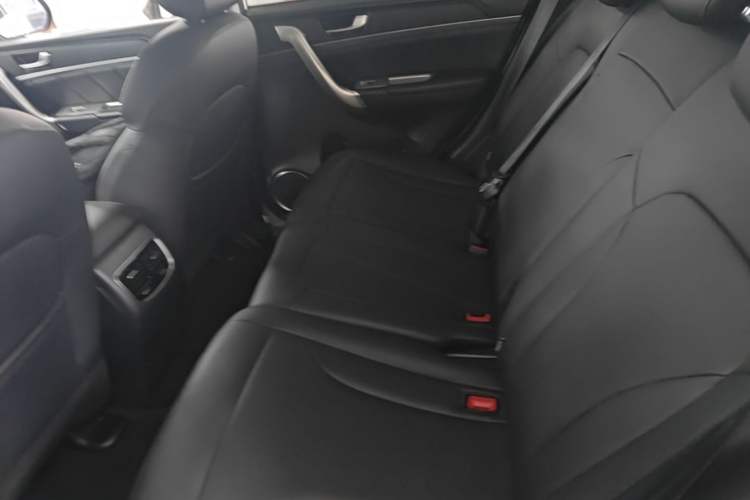 Used Haval M6 2019 1.5T DCT Two-Wheel Drive Value Edition China VI Standard Left Rear Seat