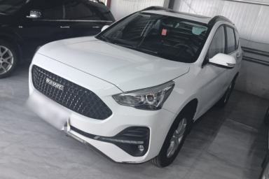 Used Haval M6 2019 1.5T Manual Two-Wheel Drive Elite Version China VI Standard