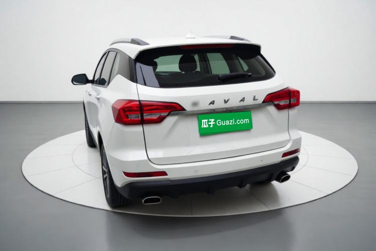 Used Haval M6 2019 1.5T DCT Two-Wheel Drive Elite Version China VI Standard Rear Left 45 Deg