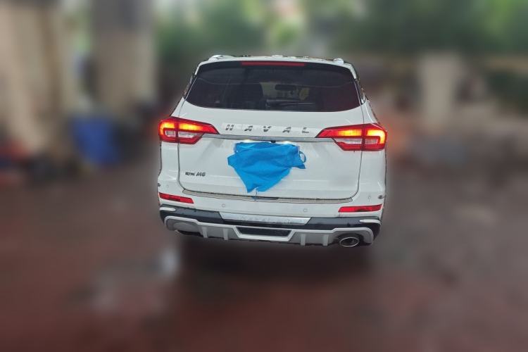 Used Haval M6 2019 1.5T DCT Two-Wheel Drive Elite Version China VI Standard Rear