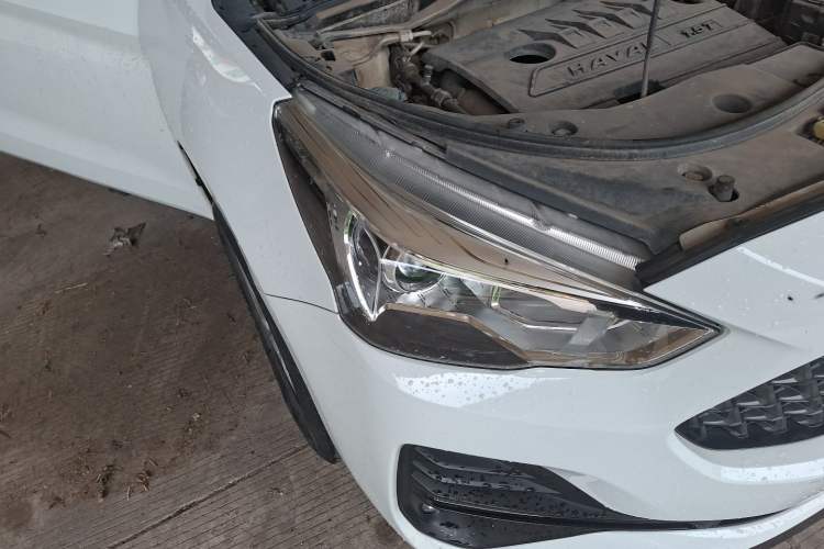 Used Haval M6 2019 1.5T Manual Two-Wheel Drive Elite Version China VI Standard Right Front Headlight
