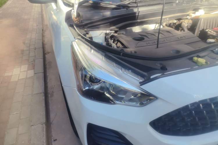 Used Haval M6 2019 1.5T DCT Two-Wheel Drive Value Edition China VI Standard Right Front Headlight